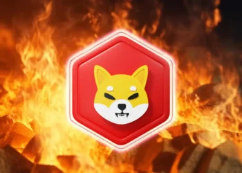 Shiba Inu burning rate increased by 499,416%, will SHIB increase by $0.1?