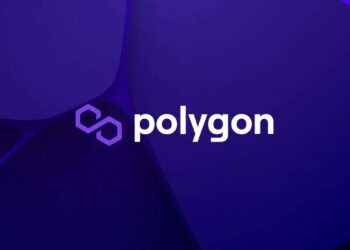 The new PRC-20 token standard on Polygon causes gas fees and transaction numbers to skyrocket