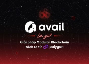 What is Avail?  Modular Blockchain solution separate from Polygon