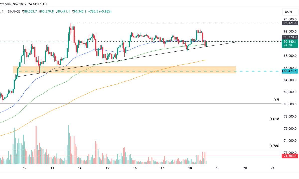 Bitcoin's next target will be $100K following this bullish flag - Bitcoin News - Latest Coin News Update 24/7 2024