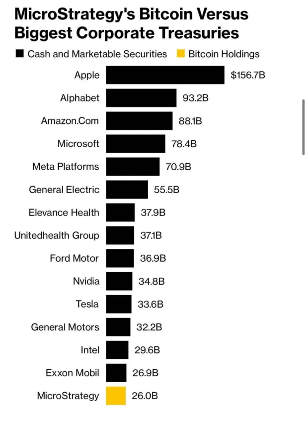 MicroStrategy Reserve Fund.