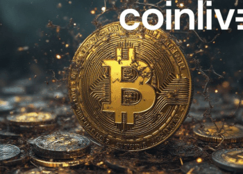 bitcoin stability amid chaos