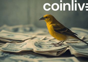 canary on financial papers