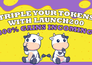 2025 05 09T160054.942Zunnamed