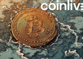 bitcoin flow ink drawing