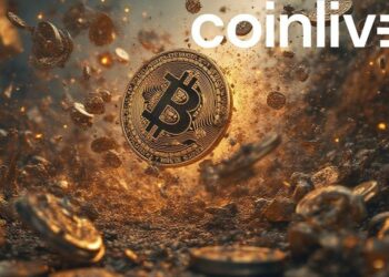 bitcoin price crash chaos