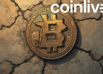 bitcoin stone wall 2025 ink art