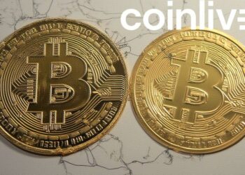 bitcoin vs gold ink drawing