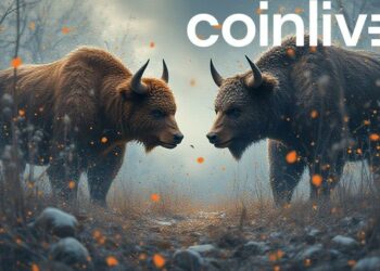 bull and bear market dynamics