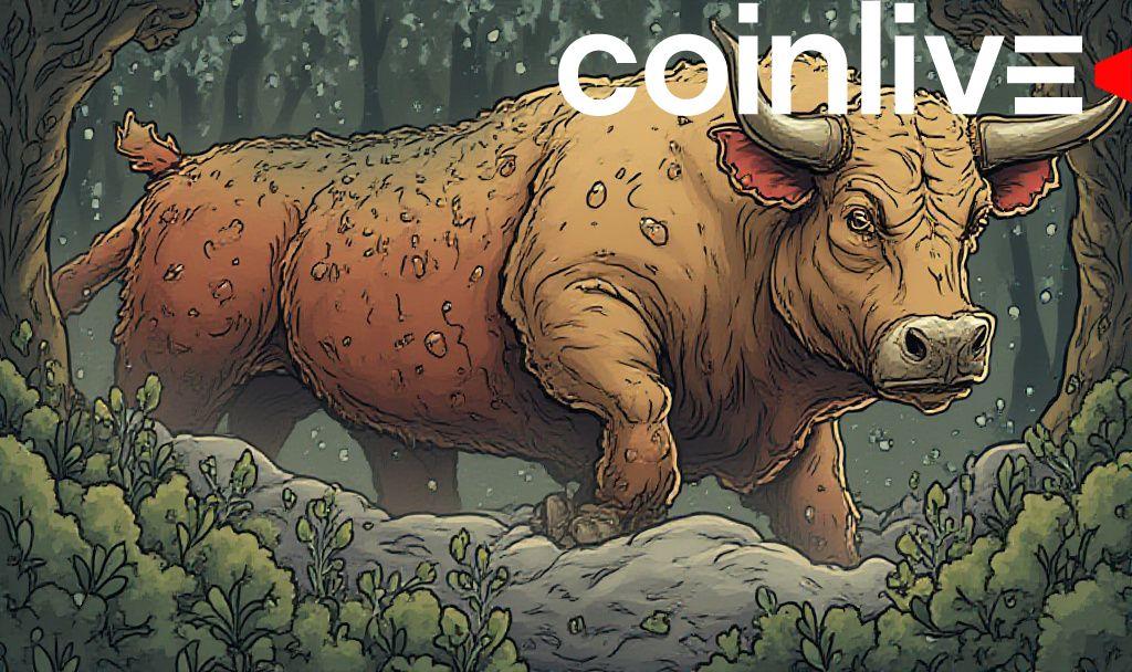 bitcoin-bull-score-rises-to-80-as-spot-demand-grows