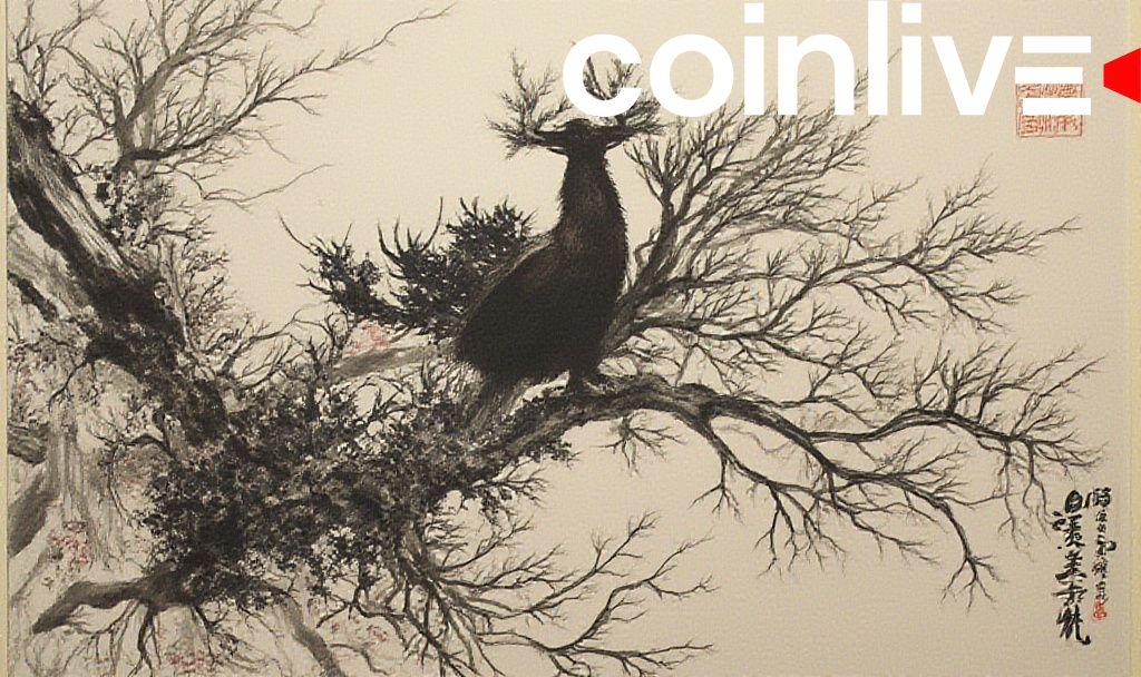 binances-cz-highlights-dual-risks-in-crypto-investment