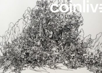 charles hoskinson ink drawing