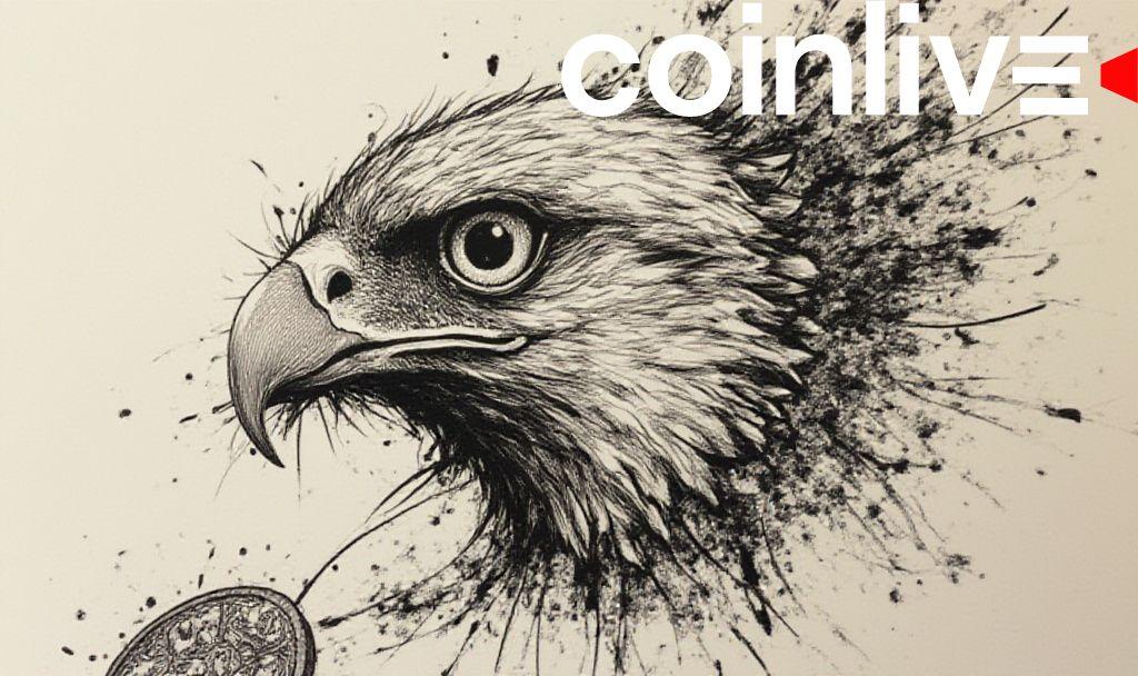 hailey-welchs-hawk-meme-coin-plunge