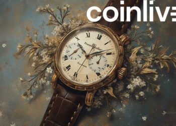 elegant franck muller watch art