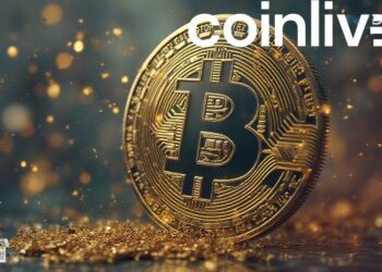 executive bitcoin acquisition art