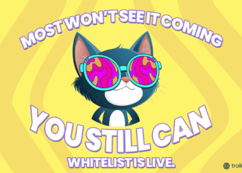 Didn’t Ride Pi Coin Frenzy? Troller Cat Is Your Ultimate Gateway to 10,000% Investment Return