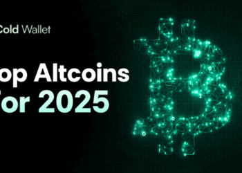 A Smart Buyer’s Guide to the Top Performing Cryptos in 2025