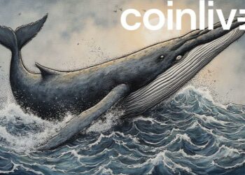 ink drawing ada whales ocean