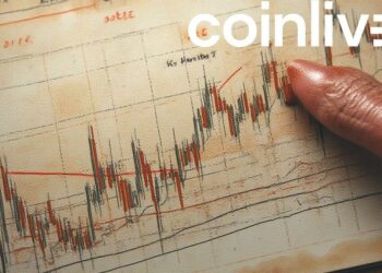 investor crypto chart drawing