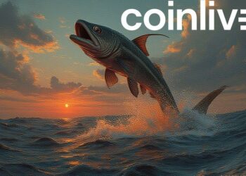 jordan fish echo launch art