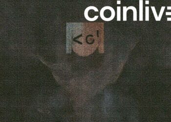 roelof botha data breach drama