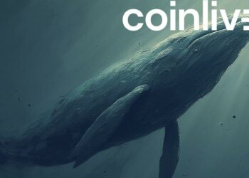 shadowy crypto whale illustration