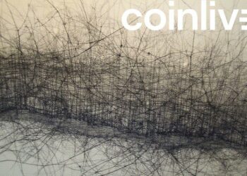 shibarium ink cityscape networks