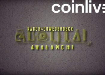 solv protocol avalanche debut