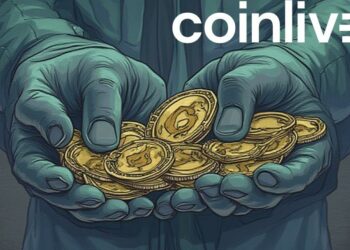 tekin salimi crypto fund drawing