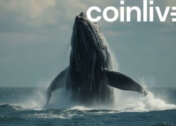 whale breaching economic power