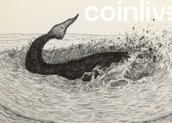 whale transaction ink drawing