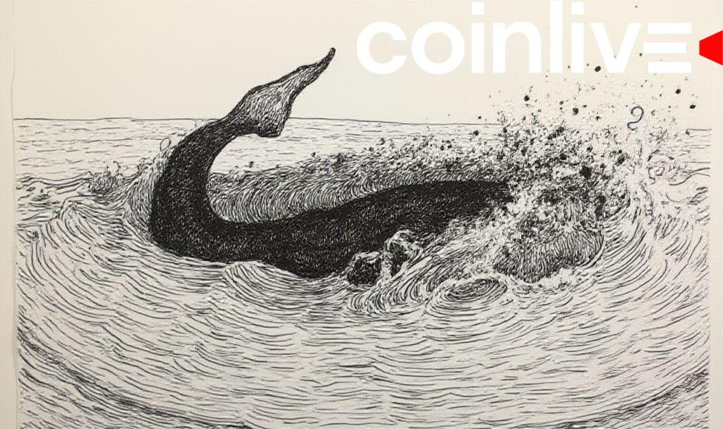xrp-price-drop-due-to-ripple-whale-movement