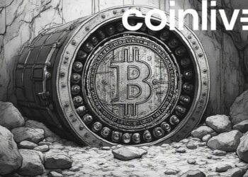 bitcoin digital gold vault drawing
