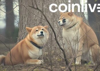 concerned shiba financial dilemma
