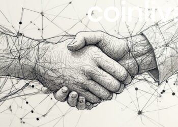 maple solana chainlink collab drawing