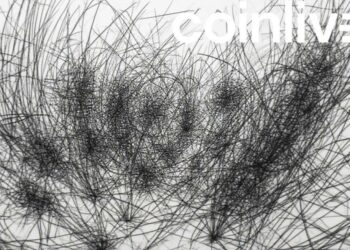 mev bots swarming solana ink