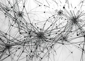 ripple wormhole network art
