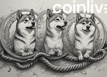 shiba inu coins ink drawing