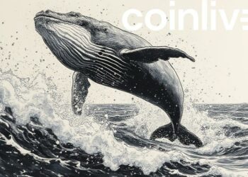 whale breaching digital ocean