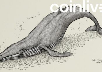 whale decline ink illustration