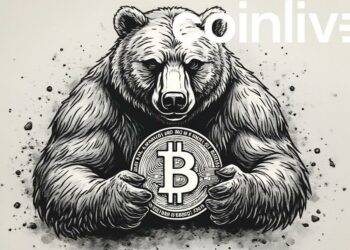 bear holding bitcoin ink drawing