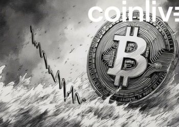 bitcoin volatility chaotic scene