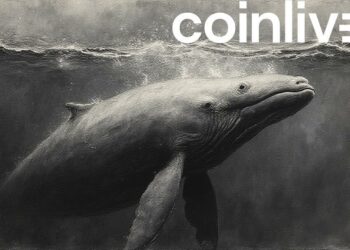 sleek whale under dark waters