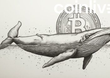 whale bitcoin optimism ink drawing