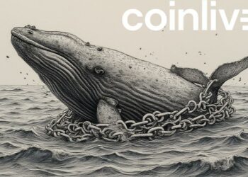 whale entwined with chainlinks