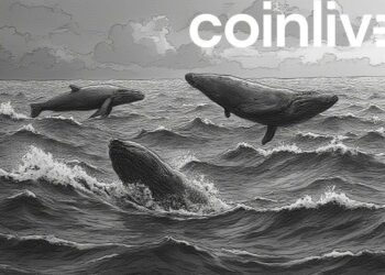whales bitcoin ocean ink drawing