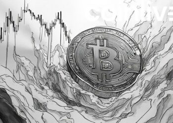bitcoin volatility ink scene
