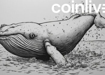 dogecoin whale ink drawing