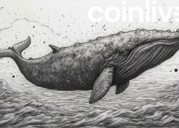 ethereum whale financial seascape