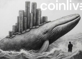 giant bitcoin whale ink drawing
